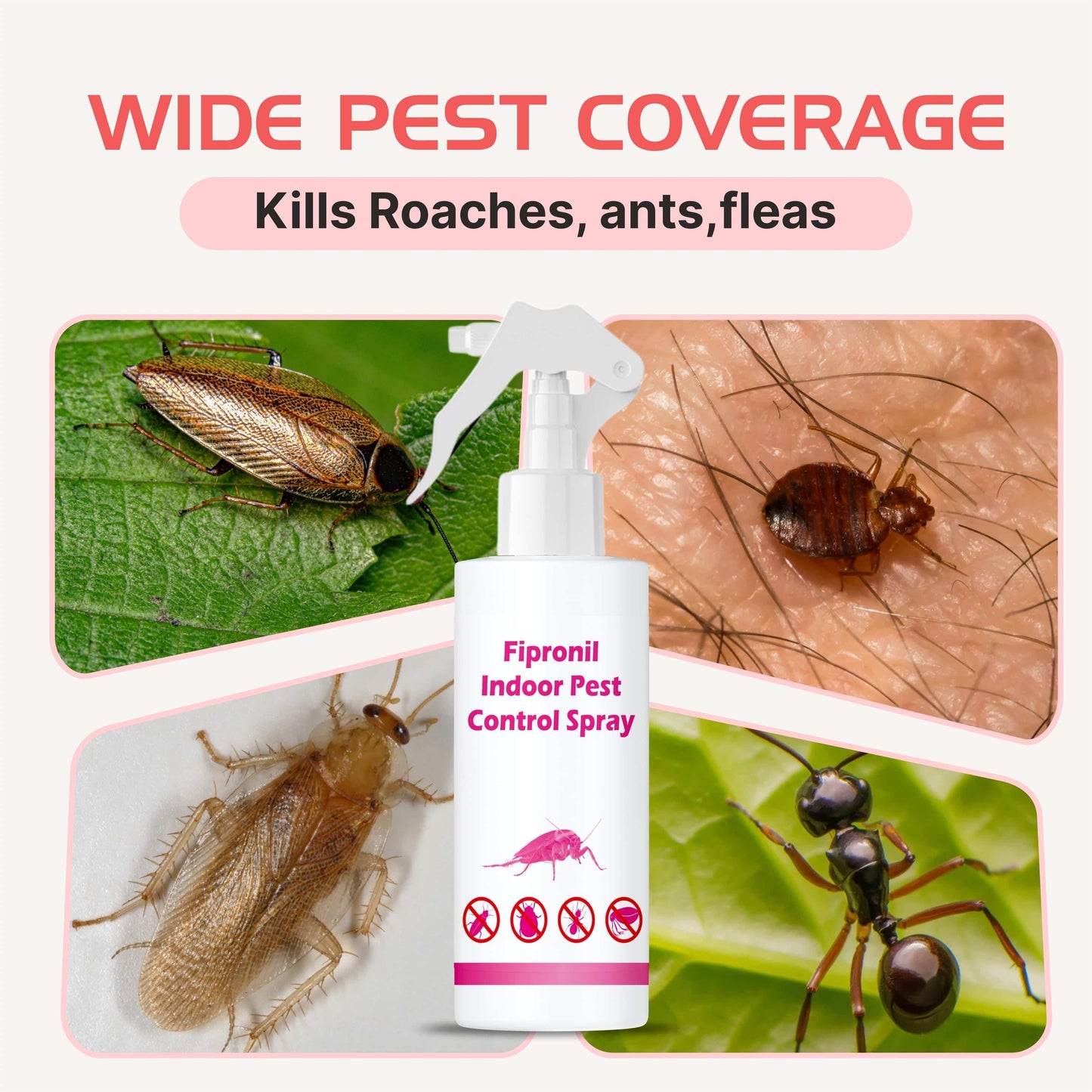 🔥 last day -buy 1 get 1 free 🔥🦟 fipronil indoor pest control repellent spray💥