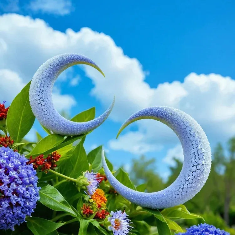 🌙flor de luna qiuying🌙🌸 free 100 grams organic pot mix 🌸