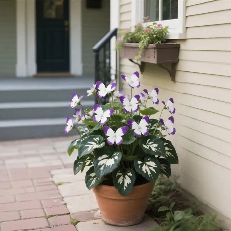 ✨easy-to-grow seeds — butterfly blooms for a living garden + 100 grams organic pot mix free