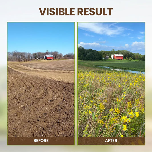 🔥 BUY 1 GET 1 FREE! 🔥🌱🌱Seasonal promotion🔥Soil Pro Activator 🌱🌱