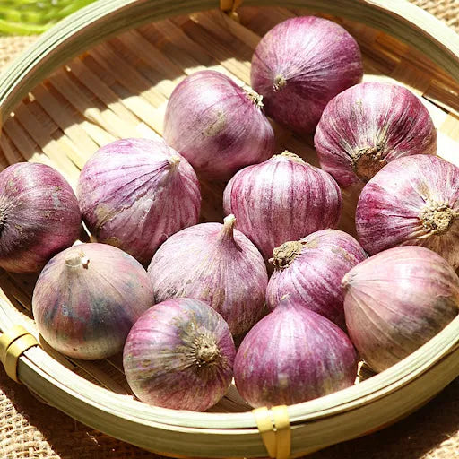 ✨🌐Single Clove Garlic: Bold Flavor, Healthy Choice!🌐 🔥BUY 1 GET 1 FREE! 🔥