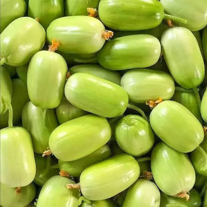 🎊Mini Little Cucumber Seeds🪴Four Seasons Balcony Pot Planting Vegetables + 100 grams Organic Pot mix Free