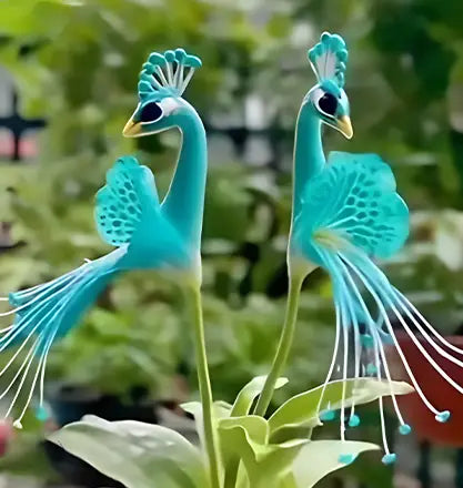 🌸🌸 Peacock Flower Bulbs — Plant hope, watch splendor bloom!🌸🌸 + 100 grams Organic Pot mix Free