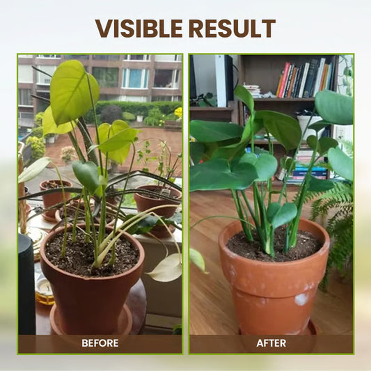 🔥 BUY 1 GET 1 FREE! 🔥🌱🌱Seasonal promotion🔥Soil Pro Activator 🌱🌱