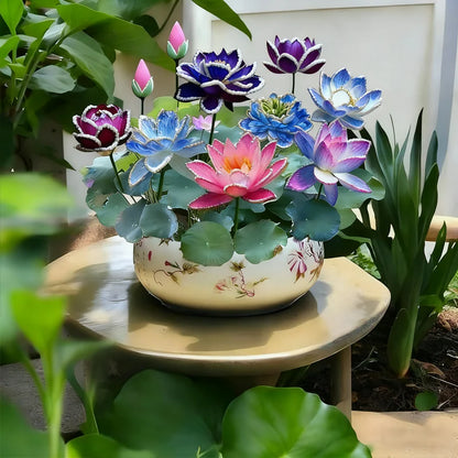 💮Midnight Purple Lotus Seeds🔥Buy 1 Get 1 Free🔥