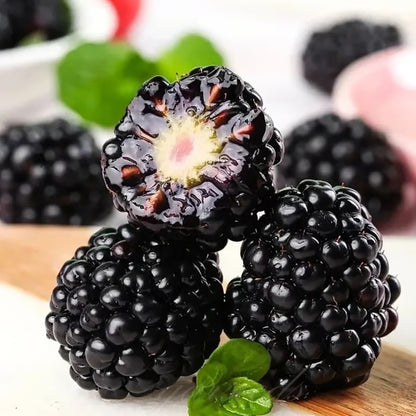 🍇Sweet Blackberry Seeds- a delicious and convenient new choice🍇🔥Buy 1 Get 1 Free🔥