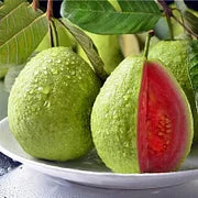 🎁Last Day Promotion 49% OFF🔥🌱Strawberry Guava Seeds🍐