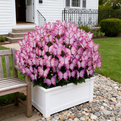 ✨EASY-TO-GROW SEEDS — BUTTERFLY BLOOMS FOR A LIVING GARDEN + 100 grams Organic Pot mix Free