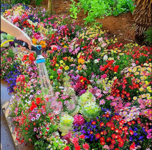 🔥last day clearance💝mixed perennial flowers seeds-over 60 kinds mixed