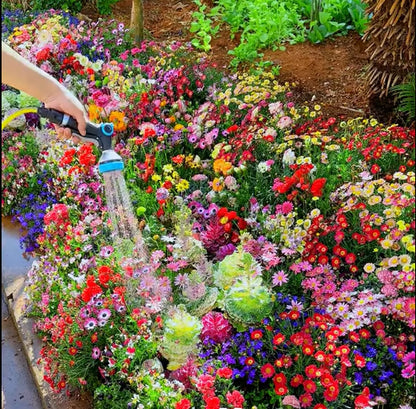 🔥Last day clearance💝Mixed Perennial Flowers Seeds-Over 60 kinds mixed