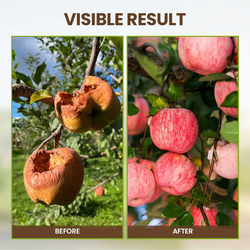 🔥 buy 1 get 1 free! 🔥🌱🌱seasonal promotion🔥soil pro activator 🌱🌱