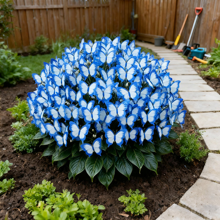 ✨easy-to-grow seeds — butterfly blooms for a living garden + 100 grams organic pot mix free