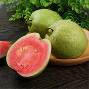 🎁Last Day Promotion 49% OFF🔥🌱Strawberry Guava Seeds🍐
