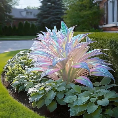 🔥Hot Sale 50% Off🌈Frosted Pearl Hosta Seeds🌈🔥 BUY 1 GET 1 FREE! 🔥