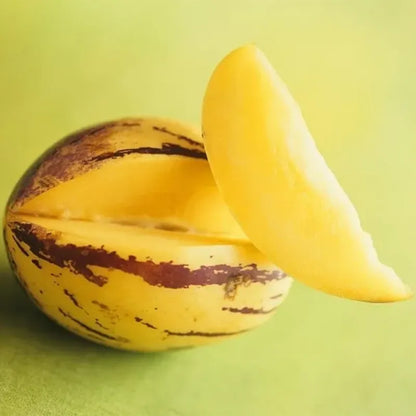 🌿✨Ginseng fruit seeds: Discover the power of nature in your garden! + Free 100 grams Organic Pot mix🌿✨