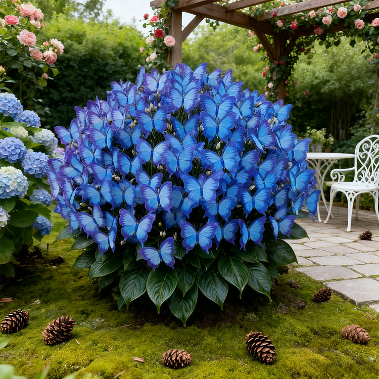 ✨easy-to-grow seeds — butterfly blooms for a living garden + 100 grams organic pot mix free