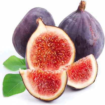 🏆65K+ SOLD!🌿Brown Turkey Fig Seeds – America's Favorite Fig for Patio & Container Gardening! Easy to Grow, Sweet Harvest.🌱BUY 1 GET 1 FREE! 🌱