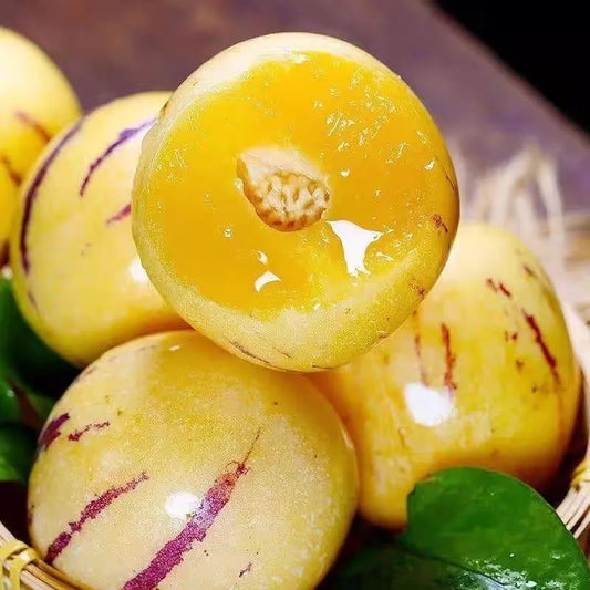 🌿✨Ginseng fruit seeds: Discover the power of nature in your garden! + Free 100 grams Organic Pot mix🌿✨