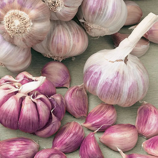 ✨🌐Single Clove Garlic: Bold Flavor, Healthy Choice!🌐 🔥BUY 1 GET 1 FREE! 🔥