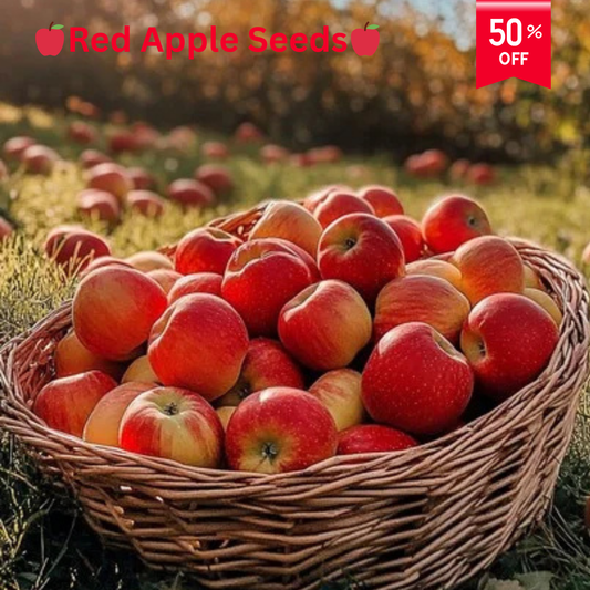🍎 SUPER FRUITIVE – Red Apple Seeds 🍎🌱BUY 1 GET 1 FREE! 🌱