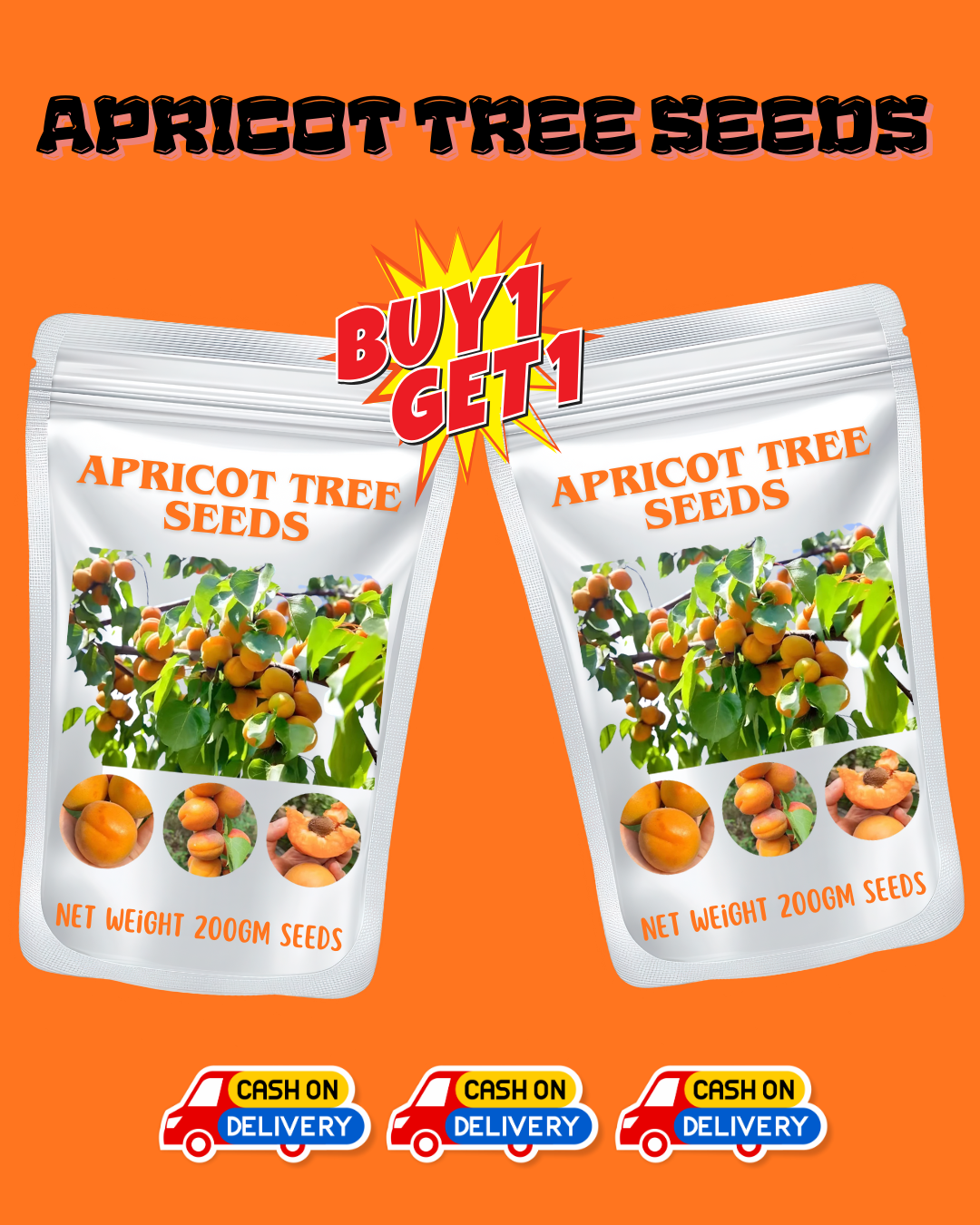 🎁last day promotion 49% off🔥🌱high yielding, easy-to-vitalize apricot tree seeds 🌱🔥buy 1 get 1 free! 🔥