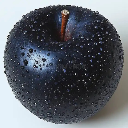 🍎 Black Diamond Apple Plant Seeds 🍎 Rare Dark Red Apple Tree Sapling , Exotic Sweet and Crisp Fruit Plant , Live Seb Tree for Home Garden and Orchard🍎🌱BUY 1 GET 1 FREE! 🌱🍎