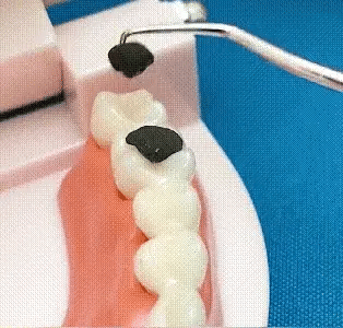 Stainless Steel Toothpick Set