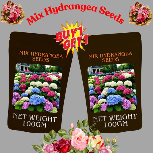 🌈Mix Hydrangea Seeds - Beautiful and Hardy Perennial Flowers for Your Garden🔥BUY 1 GET 1 FREE! 🔥🌱🌺