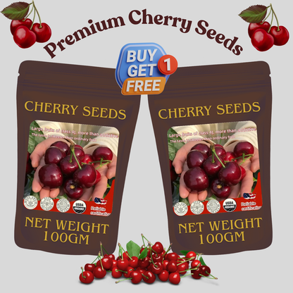 ✨Top Grade & Productive – Chilean Cherry Seeds Direct from Origin🌱🔥BUY 1 GET 1 FREE! 🔥