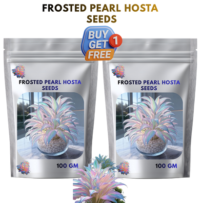🔥Hot Sale 50% Off🌈Frosted Pearl Hosta Seeds🌈🔥 BUY 1 GET 1 FREE! 🔥