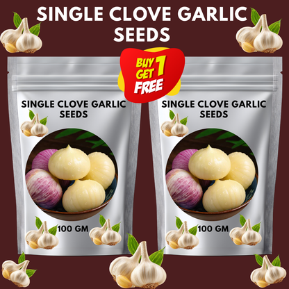 ✨🌐Single Clove Garlic: Bold Flavor, Healthy Choice!🌐 🔥BUY 1 GET 1 FREE! 🔥