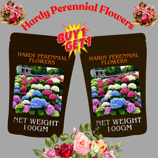 🌈Mix Hydrangea Seeds - Beautiful and Hardy Perennial Flowers for Your Garden + Free Organic Pot Mix 100 Grams🌱🌺