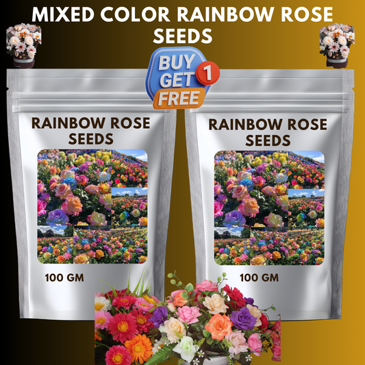 🌸Mixed Color Rainbow Rose Seeds – 🌿Perennial Flower Seeds / Large Flowers / Easy to Grow🌸🔥 BUY 1 GET 1 FREE! 🔥