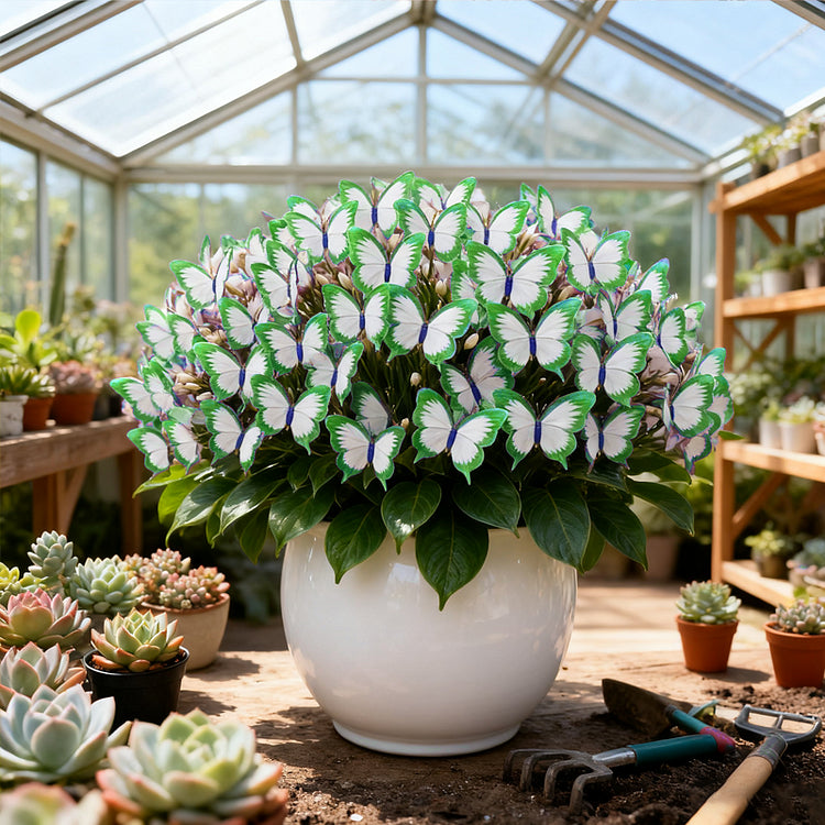 ✨easy-to-grow seeds — butterfly blooms for a living garden + 100 grams organic pot mix free