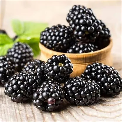 🍇Sweet Blackberry Seeds- a delicious and convenient new choice🍇🔥Buy 1 Get 1 Free🔥