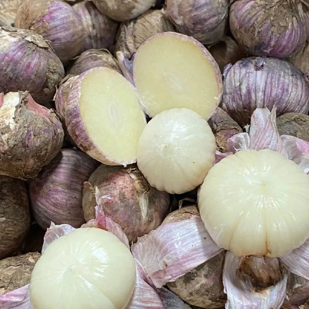 ✨🌐single clove garlic: bold flavor, healthy choice!🌐 🔥buy 1 get 1 free! 🔥
