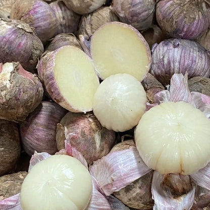 ✨🌐Single Clove Garlic: Bold Flavor, Healthy Choice!🌐 🔥BUY 1 GET 1 FREE! 🔥