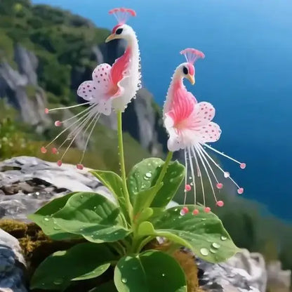 🌸🌸 Peacock Flower Bulbs — Plant hope, watch splendor bloom!🌸🌸 + 100 grams Organic Pot mix Free